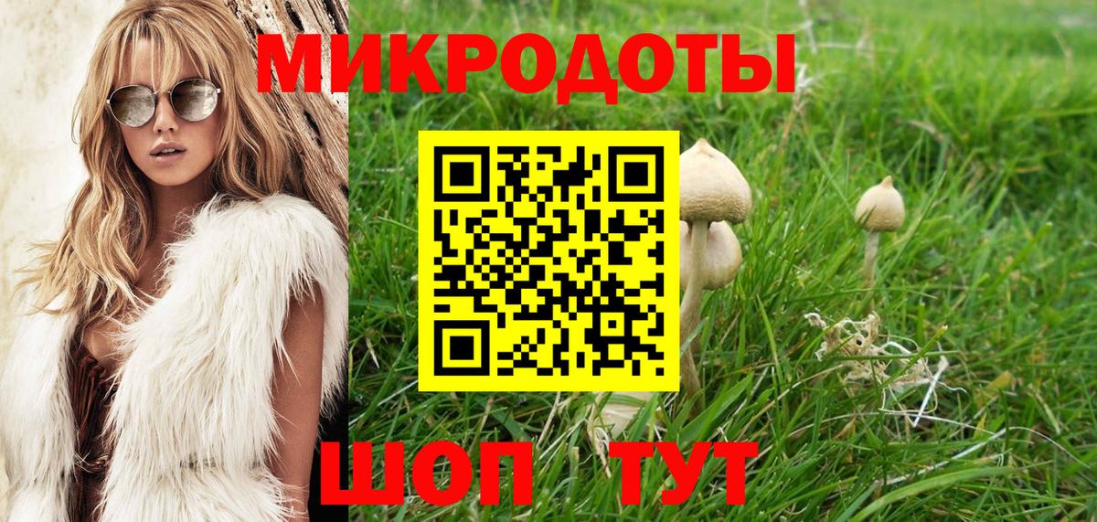 Галлюциногенные грибы Psilocybine cubensis Мичуринск