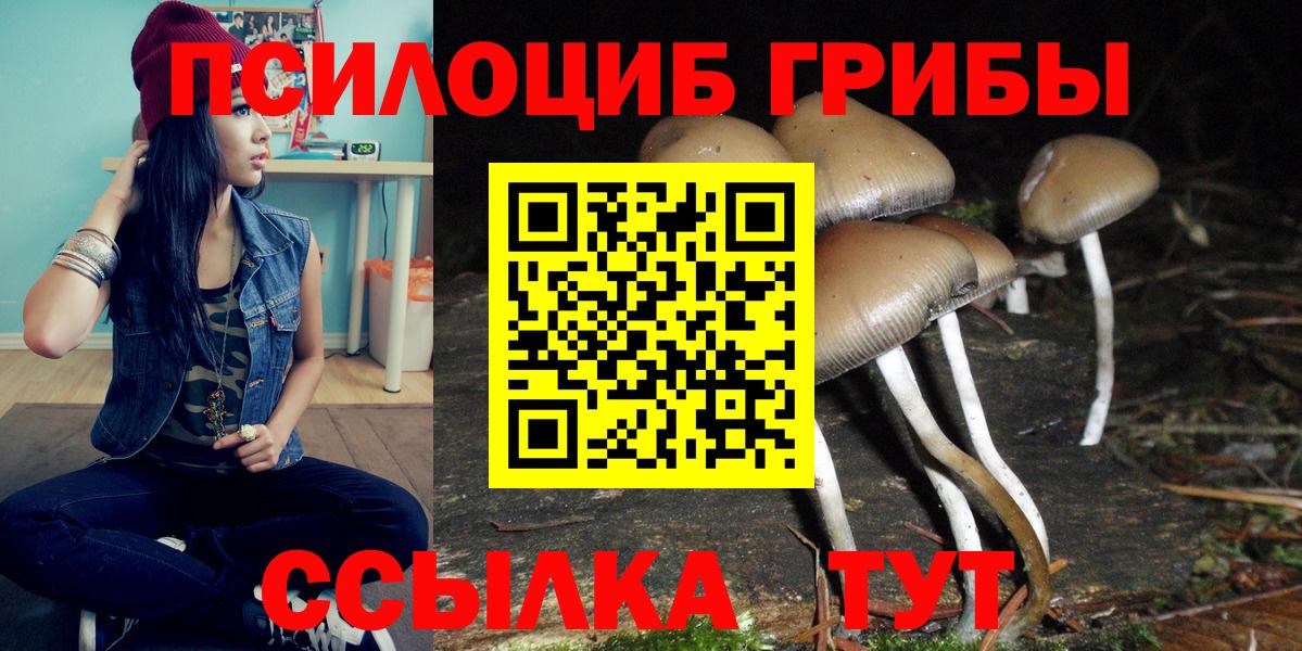 Мичуринск  Галлюциногенные грибы ЛСД  магазин продажи наркотиков  Вход с VPN 